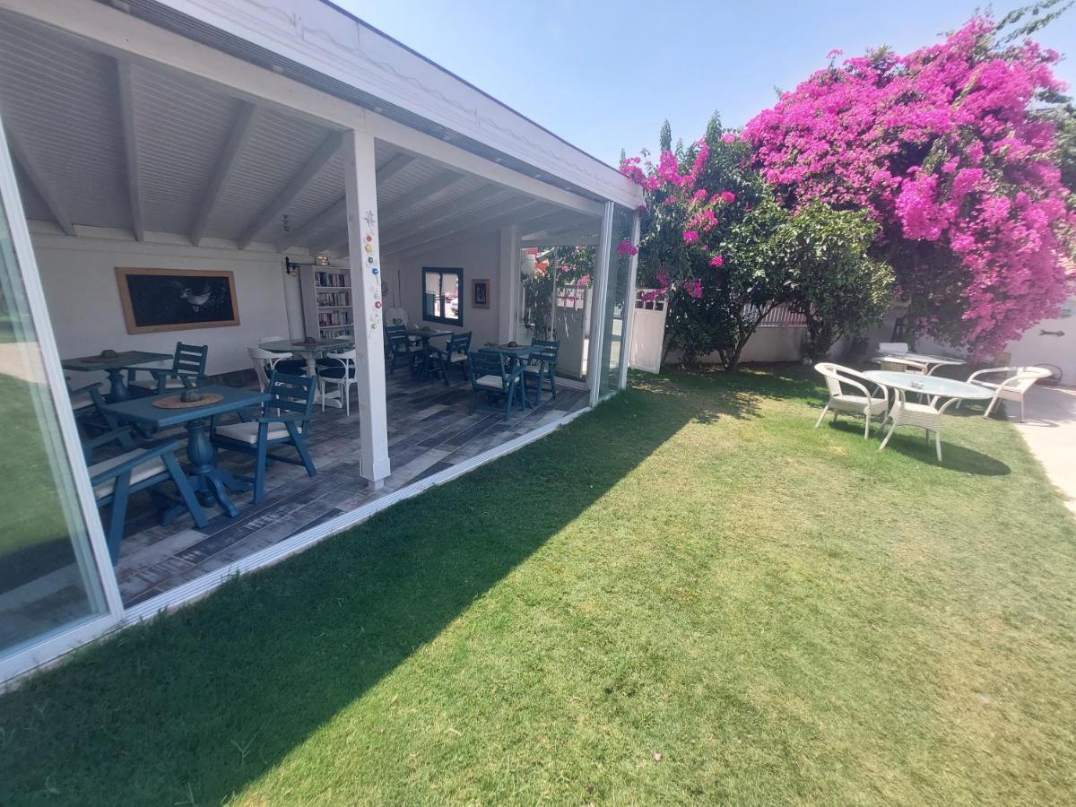 达利安Grandma'S Garden公寓式酒店 外观 照片